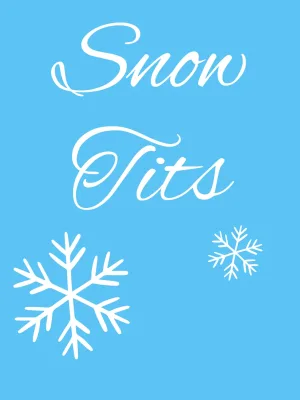 Snow Tits cover image