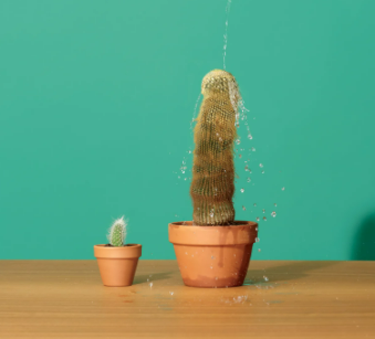What to do if Your Dick is to Big