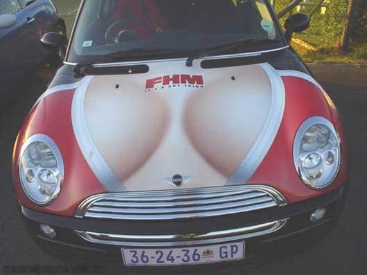 In Love with Cars