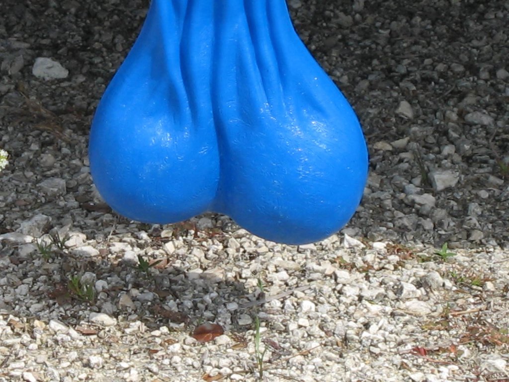 Blue Balls Explained