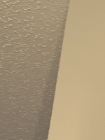 latest bwc shots and sweaty me cover image