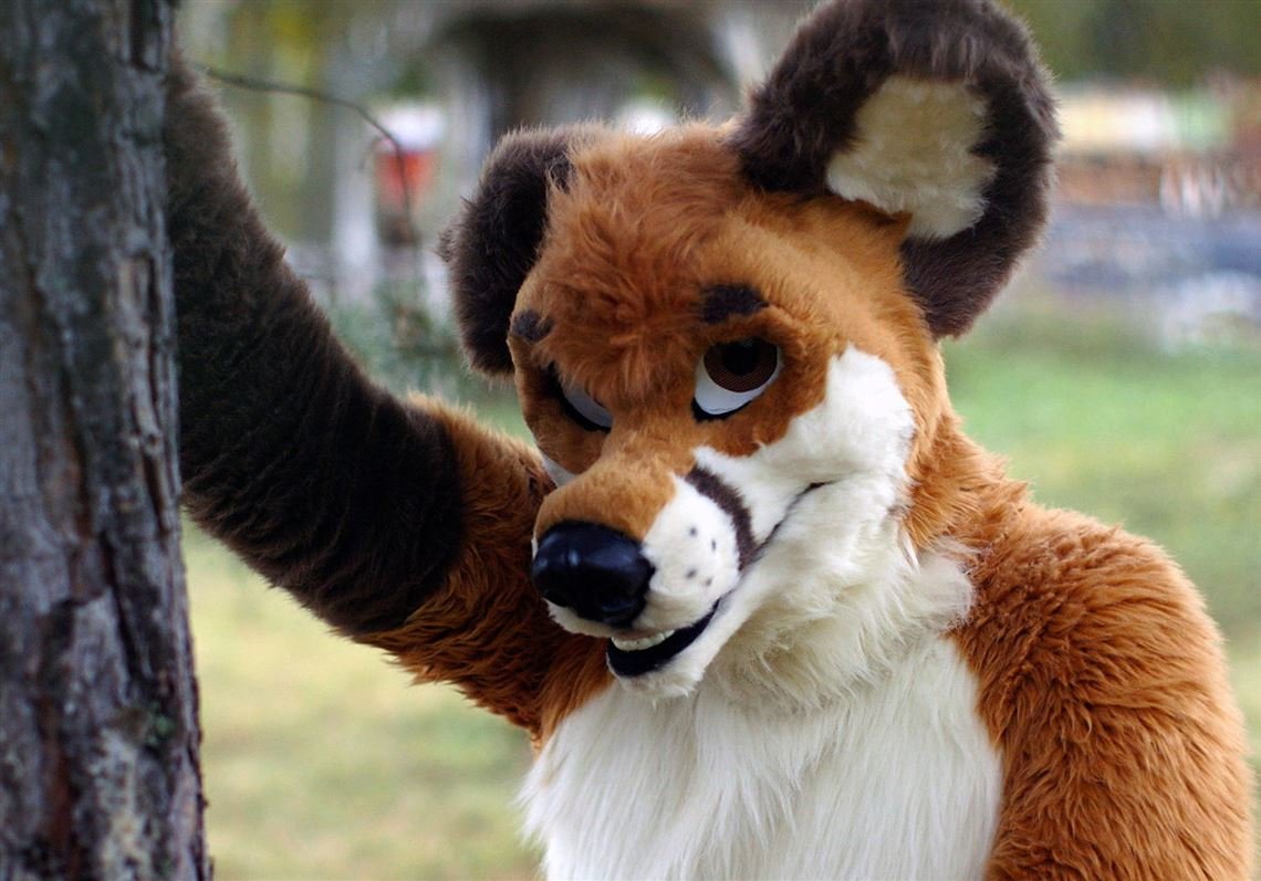 The Furry Fandom