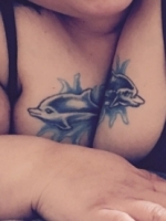 Dolphin Tattoos cover image