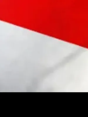 Majerkong Profile Image