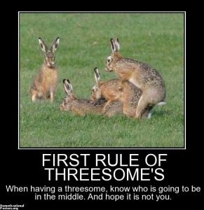 first-rule-threesomes-when-having-threesome-know-who-going-t-demotivational-posters-1418669176