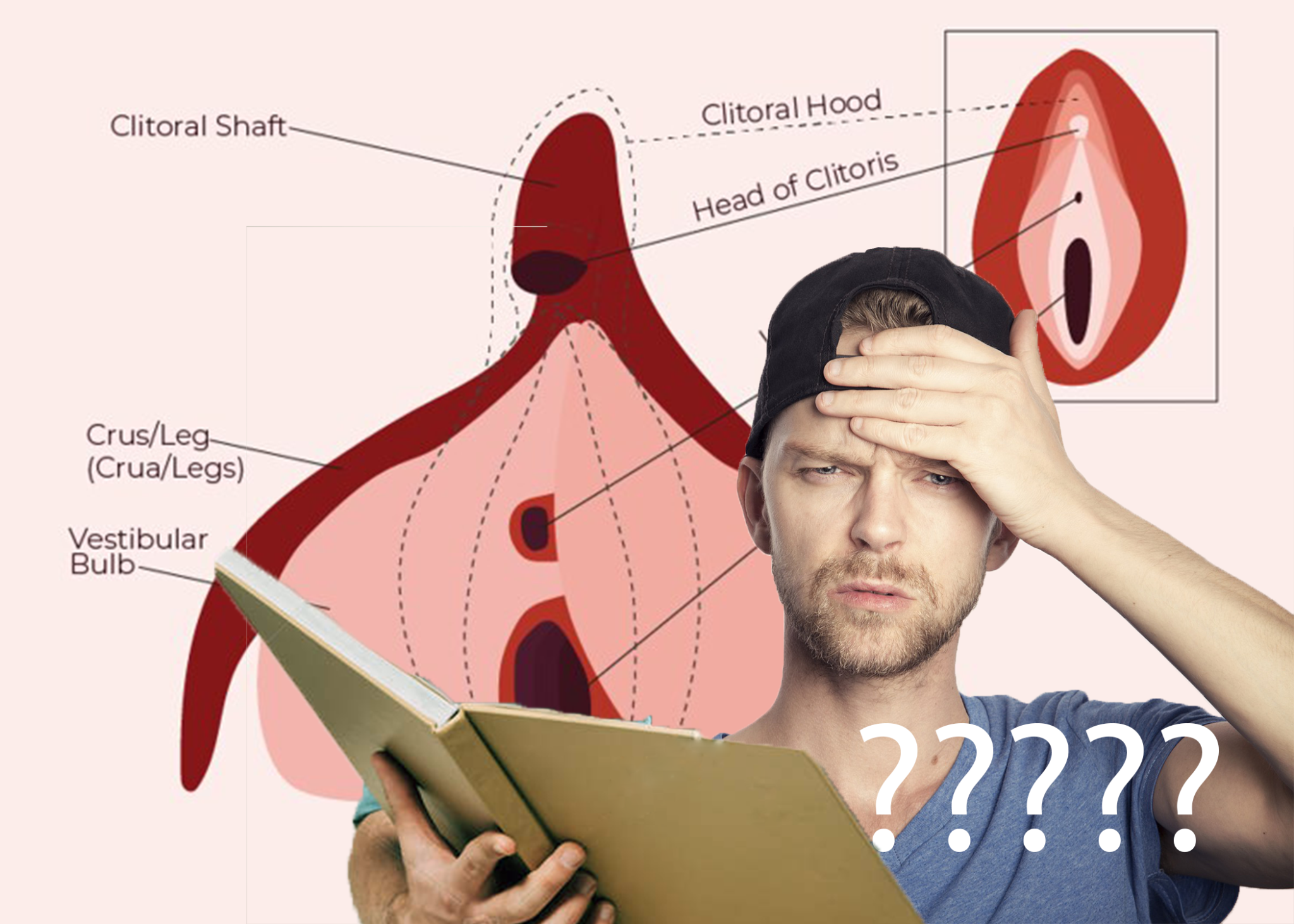 The Complexity of Finding the Clitoris: A Discussion on Anatomy, Communication, and Understanding
