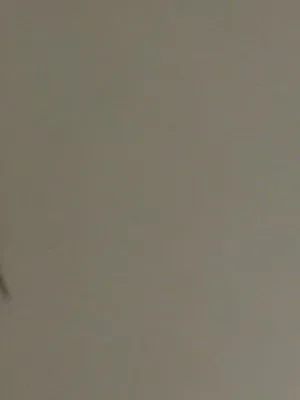 Your Xtremely Naughty Accomplice Girlfriend