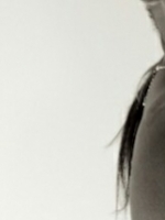 Rub me and I will grant you three wishes