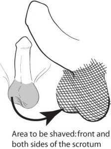 a-better-shaving-diagram-than-the-one-i-used