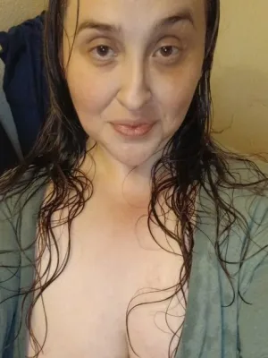 Kitty Cat Playtime cover image