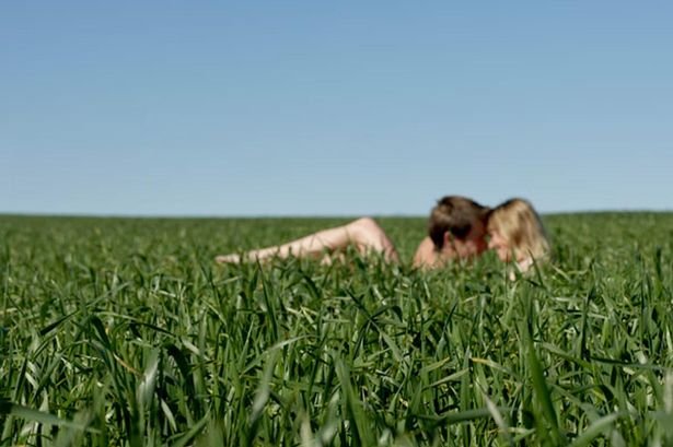 Grass Sandwich